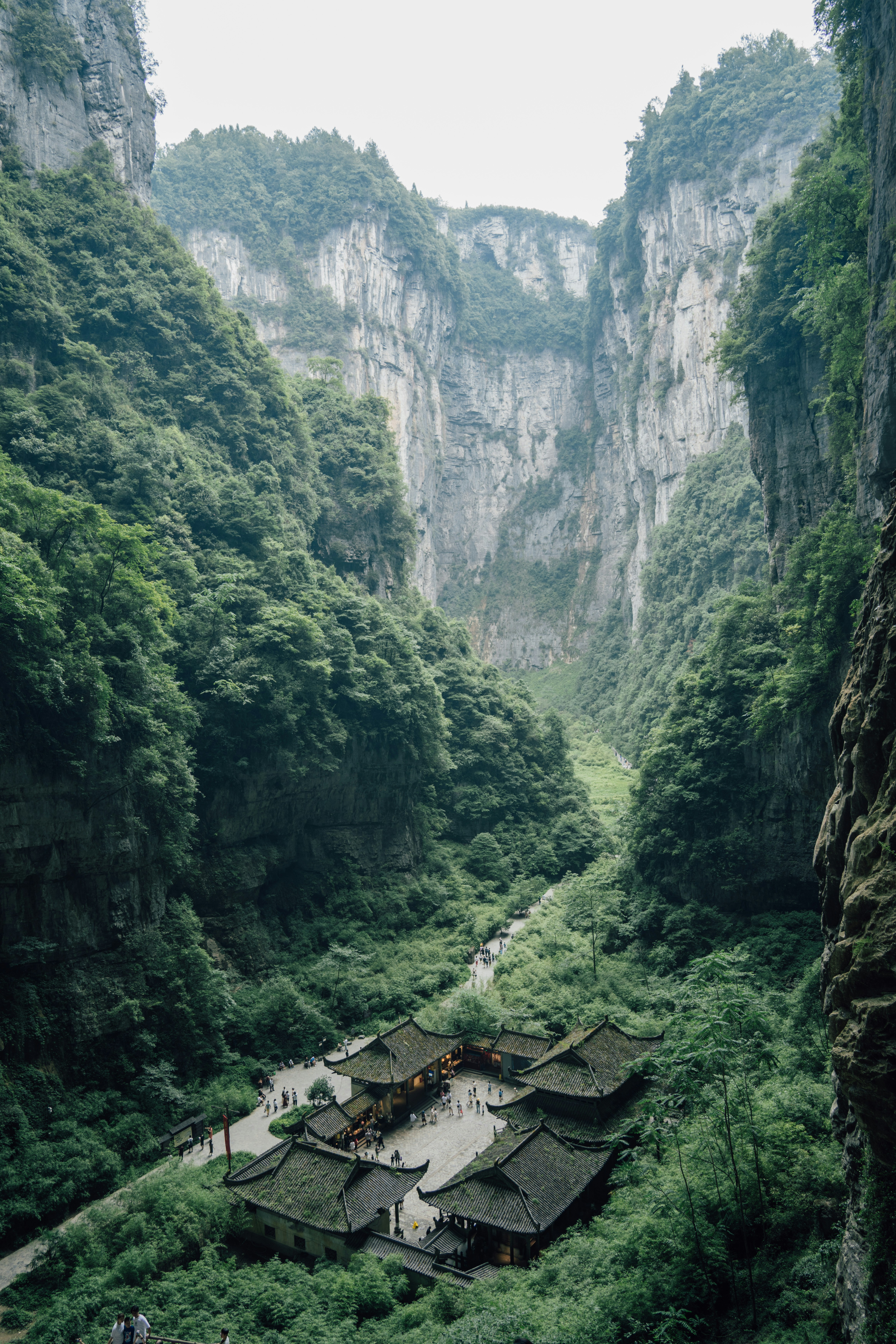 Wulong